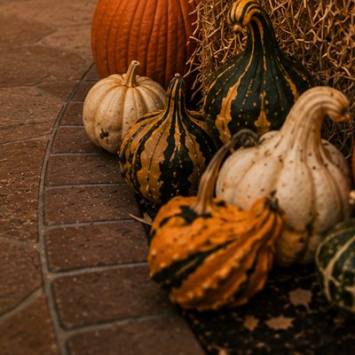 A cluster of striped and speckled autumn gourds